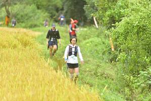 BIB: 
                            <button type="button" onclick="openModal(13434277)" class="btn btn-primary btn-sm float-right btn-popup" data-toggle="modal" data-target=".modal-high-quality">
                        <i class="fas fa-shopping-cart"></i> Add to Cart
                    </button>
                                            <button type="button" onclick="isThisMe(13434277, true)" class="btn btn-success btn-sm float-right btn-popup btn-isme hidden" data-toggle="tooltip" data-placement="bottom" title="นี่คือรูปของคุณใช่ไหม คลิกที่นี่เพื่อเอาเข้าอัลบั้ม">
                        <i class="fas fa-plus"></i> Add to album
                    </button>
                    <button type="button" onclick="isThisMe(13434277, false)" class="btn btn-warning btn-sm float-right btn-popup btn-isnotme hidden">
                        <i class="fas fa-ban"></i> Remove from album
                    </button>